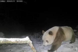 小手一抖！东契奇抛出超高弧线 赛前热身杂耍三分空心落袋